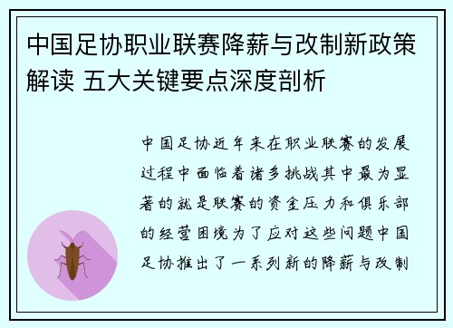 中国足协职业联赛降薪与改制新政策解读 五大关键要点深度剖析
