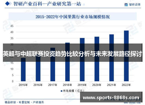 英超与中超联赛投资趋势比较分析与未来发展路径探讨
