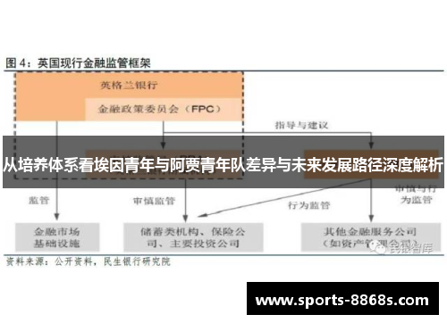 从培养体系看埃因青年与阿贾青年队差异与未来发展路径深度解析 从培养体系看埃因青年与阿贾青年队差异与未来发展路径深度解析